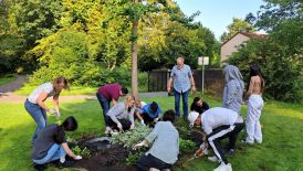  BFS 2: Pflegearbeiten an der Friedenstaube auf dem Westfriedhof